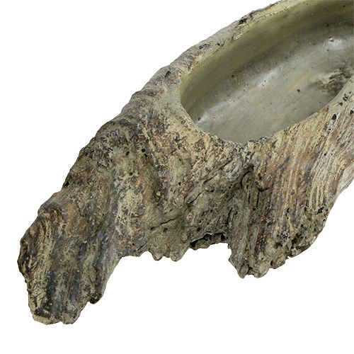 Floristik24 Květinová miska na sukulenty 24,5 cm x 8,5 cm V5,5 cm