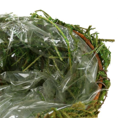 Floristik24 Květinová mísa s mechem Ø16cm V9cm - 10cm zelená 3ks