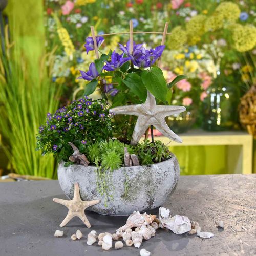 Floristik24 Květinová mísa starožitného vzhledu patina Ø32cm V14cm