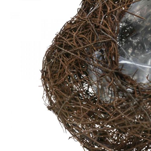 položky Miska na rostliny srdce hřbitov, vinná réva srdce k výsadbě 21cm