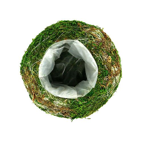 Floristik24 Miska na rostliny mechová miska Ø18cm 2ks