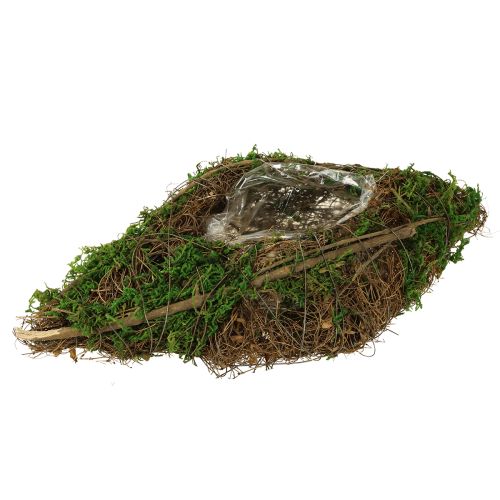 Miska na výsadbu lodní popínavé rostliny a mechu 31×17×6 cm