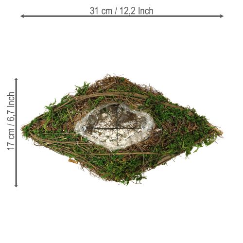 položky Miska na výsadbu lodní popínavé rostliny a mechu 31×17×6 cm