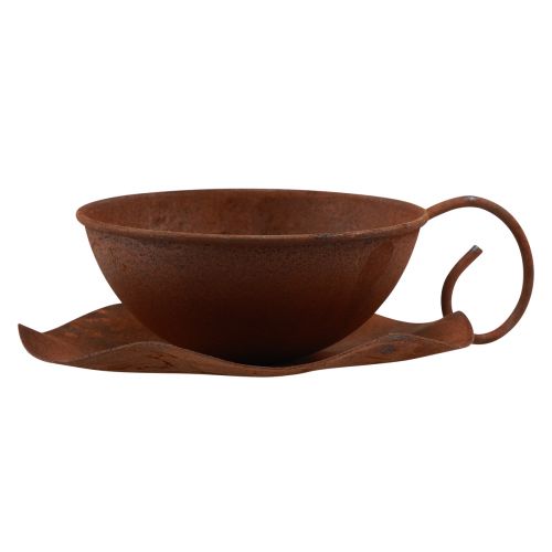 Floristik24 Rostlinný šálek s podšálkem vintage rez Ø17,5cm V6cm