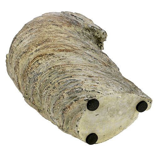 Floristik24 Květináč kmen stromu Ø11,5cm H14cm 2ks