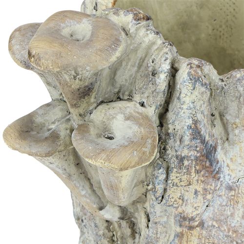 položky Květináč z litého kamene s houbami, pařez 16 cm