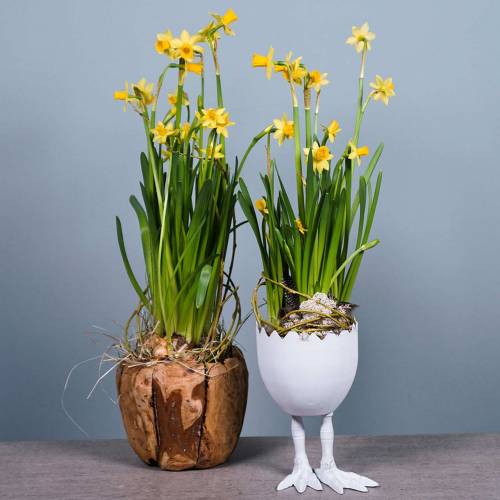 Floristik24 Květináč z vaječných skořápek s nohami Ø13cm V21cm bílý