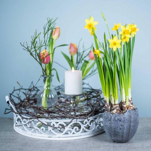 Floristik24 Květináč vaječná skořápka Ø12cm H11,5cm 6ks