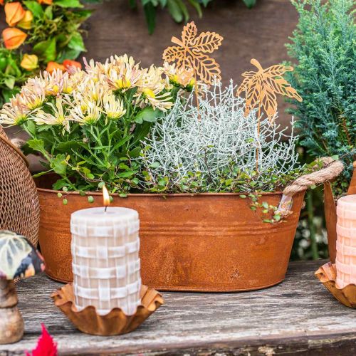 Floristik24 Květináč s uchy, miska na bylinky, podzimní dekorace, patina L28cm V11cm
