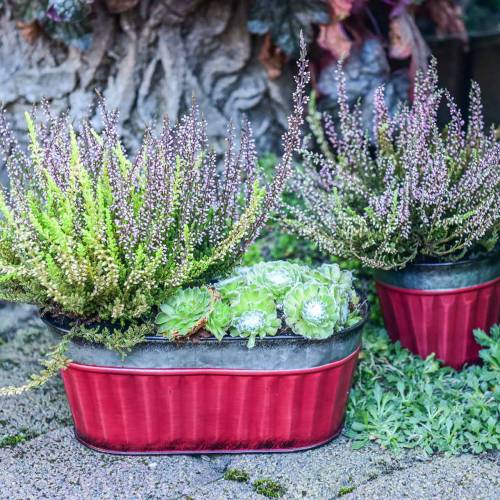 Floristik24 Oválný květináč červený, stříbrný zinek 26 × 13 cm H11 cm
