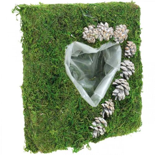 Floristik24 Rostlinný polštářek srdce mech a šišky, praný bílý 25 × 25 cm