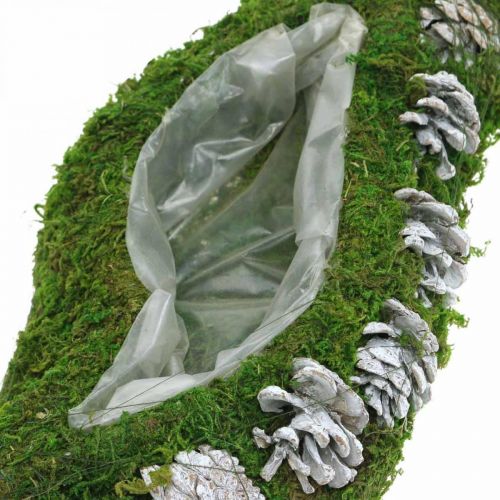 položky Květináč mech a šišky vlnově zelená, praná bílá 41 × 15 cm