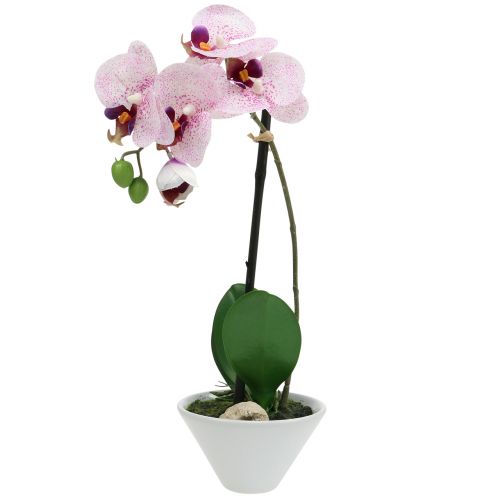 Floristik24 Umělý Phalaenopsis fialovo-bílý v misce H38cm