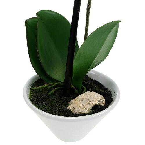 Floristik24 Umělý Phalaenopsis fialovo-bílý v misce H38cm
