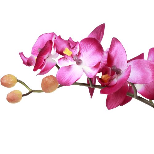 položky Umělé orchideje v květináči Phalaenopsis umělé květiny orchidej růžové 34cm