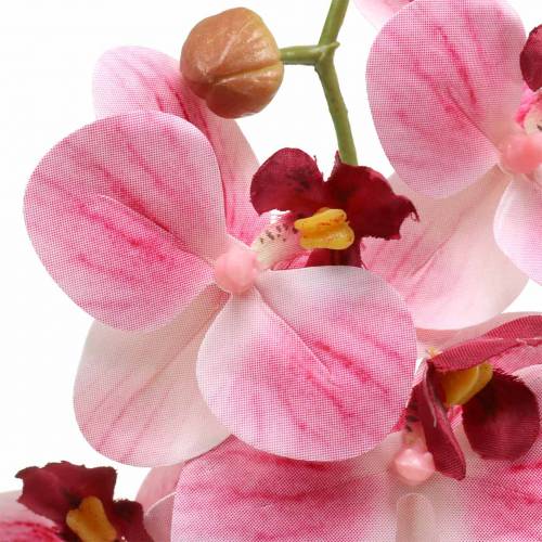 položky Umělá větev orchideje Phaelaenopsis Pink H49cm