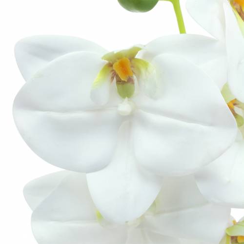 Umělá větev orchideje Phaelaenopsis White H49cm