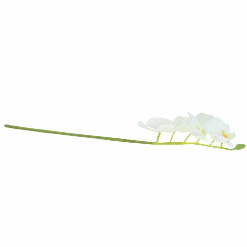 Floristik24 Umělá větev orchideje Phaelaenopsis White H49cm