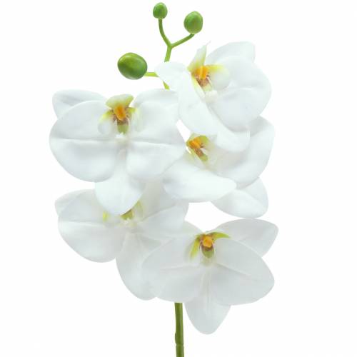 Umělá větev orchideje Phaelaenopsis White H49cm