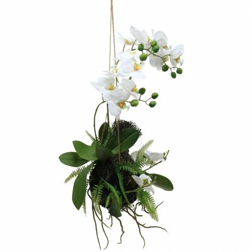 položky Orchidej s kapradím a mechovými koulemi umělé bílé závěsné 64cm