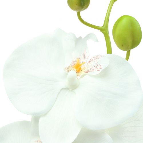 Floristik24 Orchideje Phalaenopsis umělá bílá 80cm