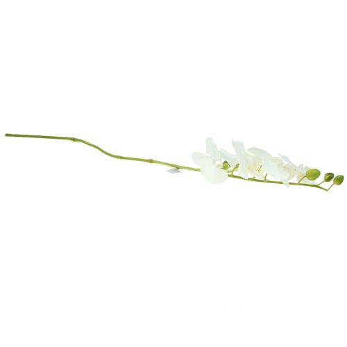 Floristik24 Orchideje Phalaenopsis umělá bílá 80cm