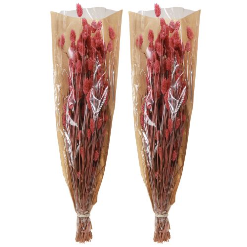 položky Phalaris shine tráva sušené květy růžové 64cm 70g × 2ks