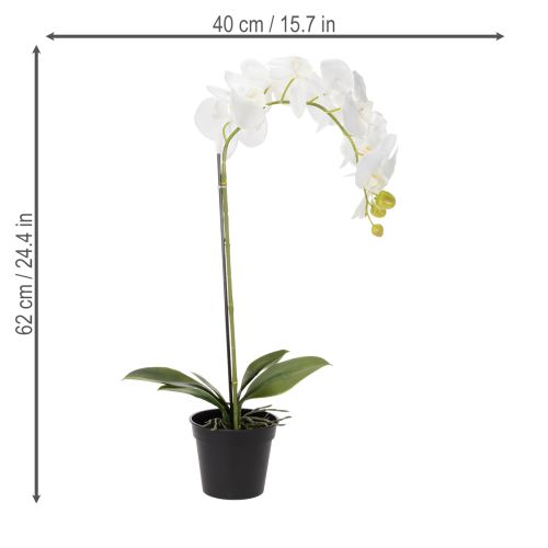 položky Umělá orchidej, klamně realistická, pro dekoraci kanceláře a obývacího pokoje, 62 cm