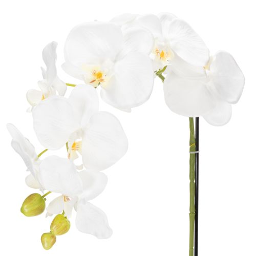 položky Umělá orchidej, klamně realistická, pro dekoraci kanceláře a obývacího pokoje, 62 cm
