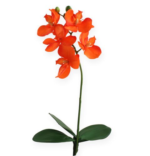 Floristik24 Umělá orchidej s listy oranžové 35cm