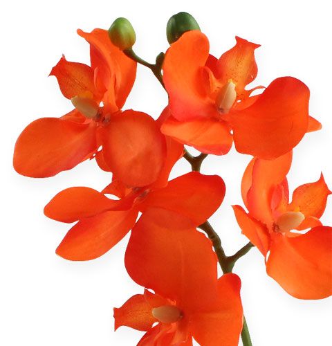 Floristik24 Umělá orchidej s listy oranžové 35cm