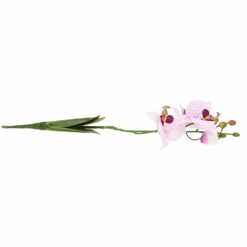 položky Umělá orchidej Phaleanopsis White, Fialová 43cm