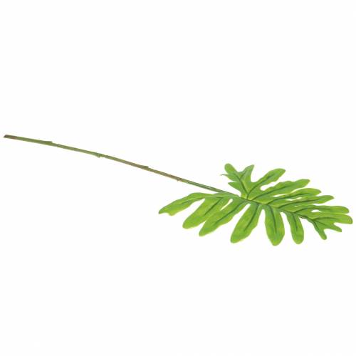 Floristik24 Filodendron list zelený 40 cm