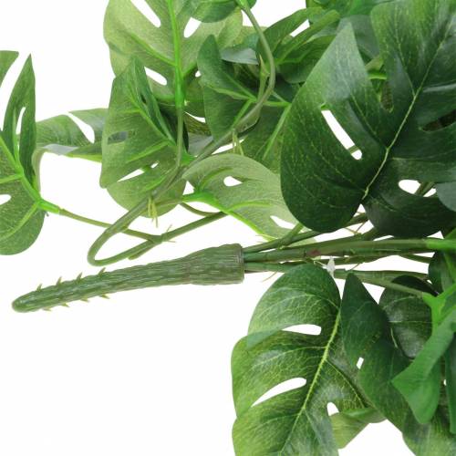 Floristik24 Věšák filodendron zelený 85cm