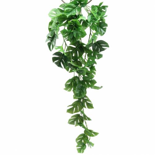 Floristik24 Věšák filodendron zelený 85cm