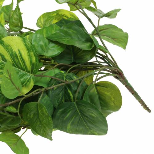 položky Věšák filodendron 80cm