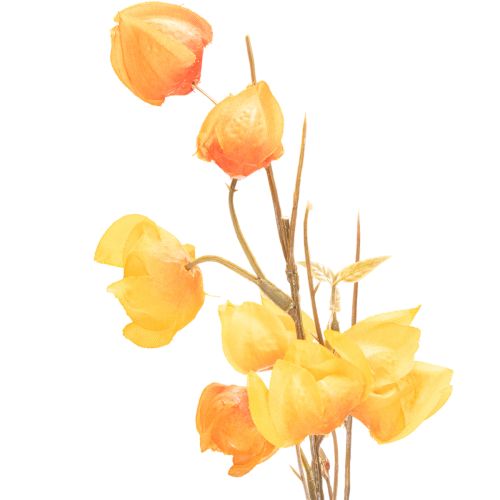Umělá rostlina čínského lampionu, větvička Physalis s květy, 95 cm | Floristik24.cz