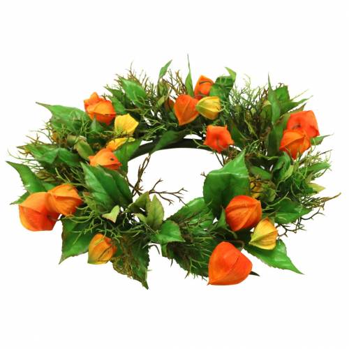Umělý věnec z Physalis, oranžový a zelený, Ø28cm, podzimní dekorace | Floristik24.cz