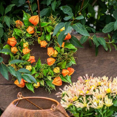 Floristik24 Physalis věnec umělý oranžový, zelený Ø28cm podzimní dekorace