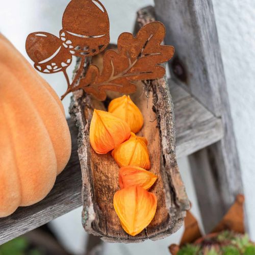 Floristik24 Physalis Orange Assorted 22 ks dekorativních umělých kalichů