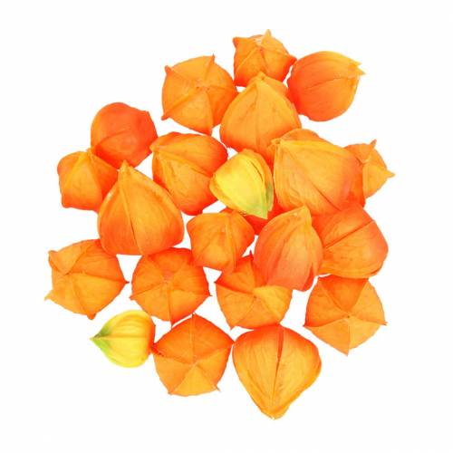 Physalis Orange Assorted 22ks dekorativních umělých květinových kalichů