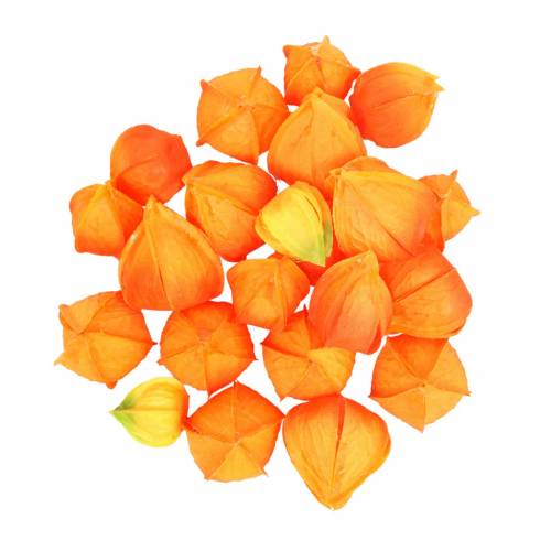 položky Physalis Orange Assorted 22ks dekorativních umělých květinových kalichů