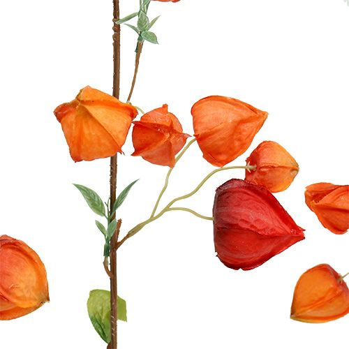 Floristik24 Physalis větev 90cm oranžová 3ks