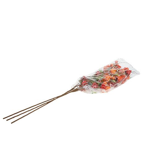 Floristik24 Physalis větev 90cm oranžová 3ks