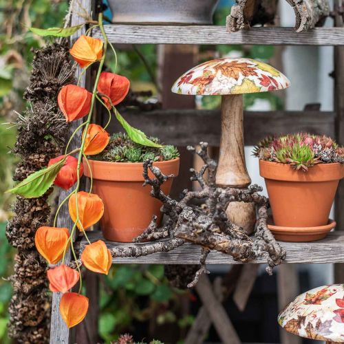 Floristik24 Větev Physalis umělá oranžová 78cm