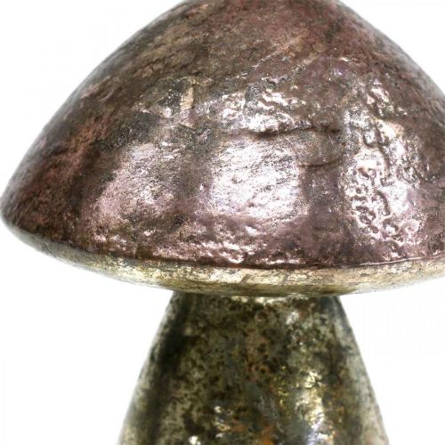 Floristik24 Dekorativní houby růžové podzimní dekorace sklenice Ø9cm V13,5cm 2ks