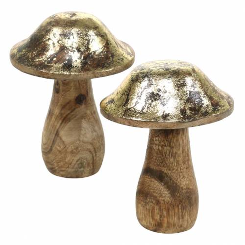 Floristik24 Dřevěná houba zlatá, přírodní mangové dřevo Ø6,8cm V9,8cm 2ks