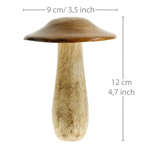 Floristik24 Houba mango dřevo hnědá, přírodní stolní dekorace podzimní Ø9cm V12cm 2ks