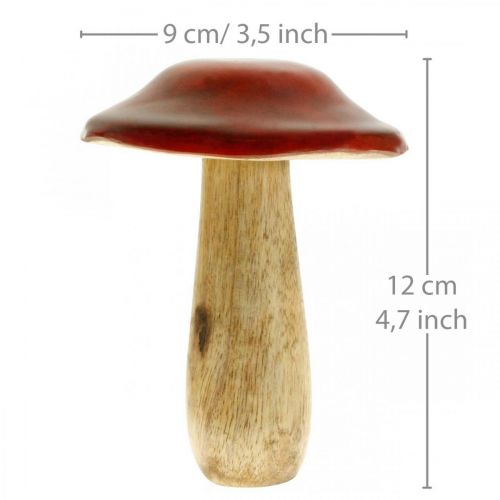 Floristik24 Houba mango dřevo červená, přírodní dekorace podzim Ø9cm V12cm 2ks