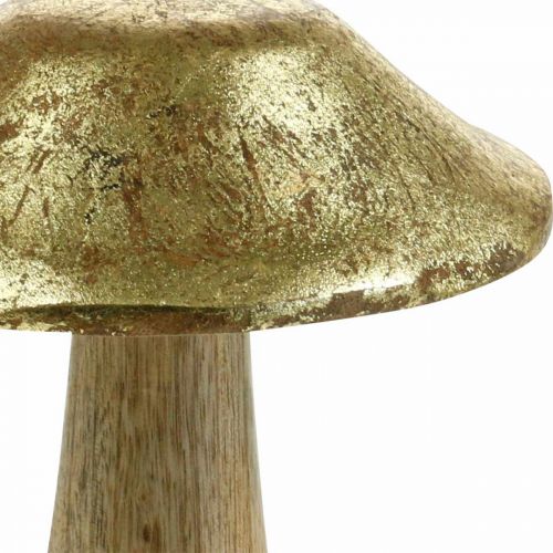 Floristik24 Houby mangové dřevo zlaté, přírodní deko houby velké Ø12cm H15cm 2ks